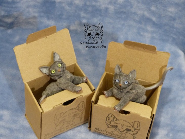 Сборы котиков в путь. Котики-призы конкурсов (фото 4)