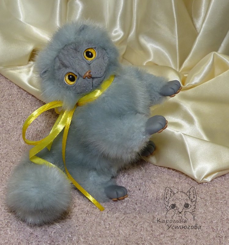 Котенок. Шотландский вислоухий (фото 6)