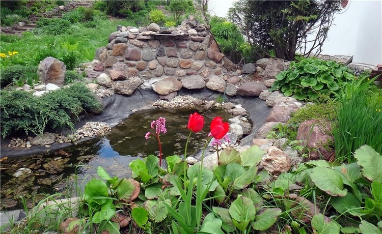 Милый мой город. Прогулка по Твери (фото 8)