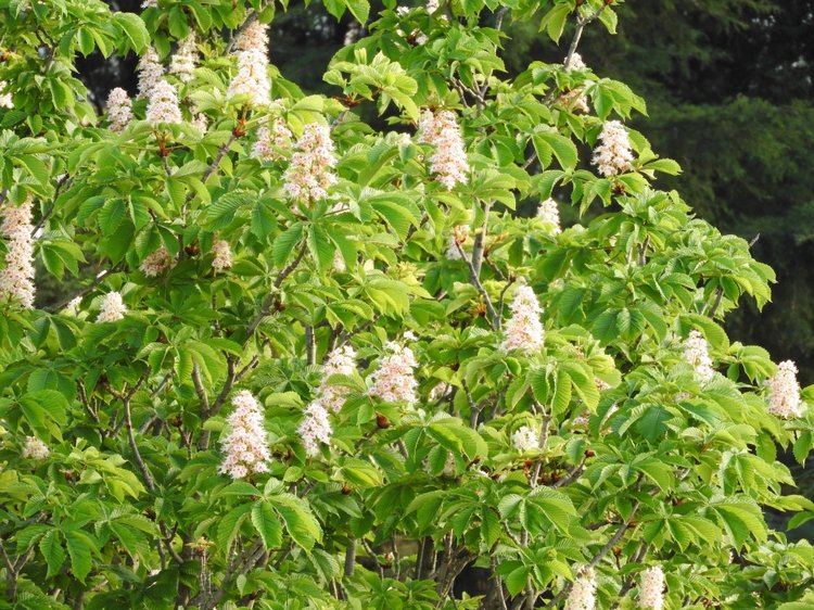 Сочи-Адлер: Южное Взморье - виртуальное путешествие по территории санатория