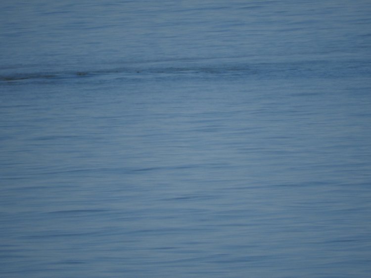 Сочи-Адлер: Южное Взморье - Красоты Черного Моря