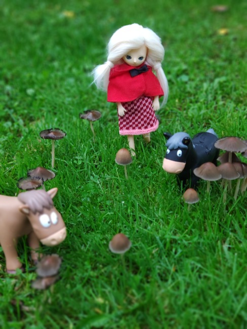 Кукла Лино. Lino Moof — Азиатские виниловые куклы (разное): Китай (фото 8)