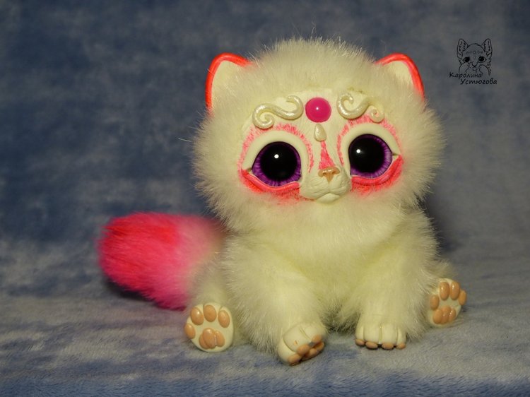 Королевские волшебные коты, породы: Мирис. В кадре и за кадром. Процесс