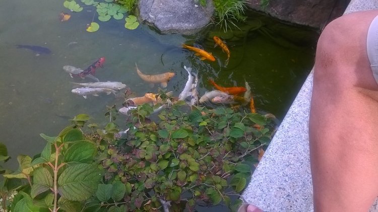 Тур по Европе или долгожданный подарок самой себе. Часть 11