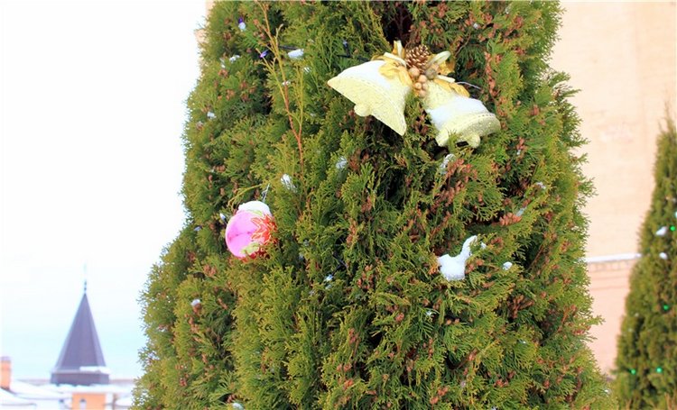 Рождественская Старица — Туризм и путешествия: фотоотчеты из поездок