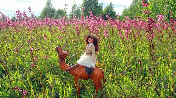 Путешественница Синди. Sindy's Urban Safari (фото 3)