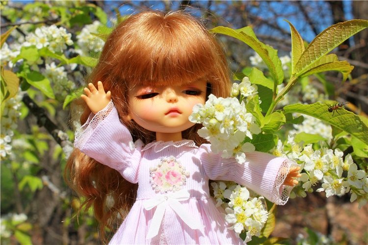 Путешествие Софи в Старицу, продолжение. Lati HoneyBee New Mystic Sophie (фото 10)