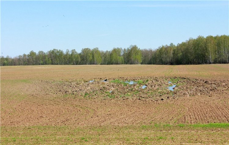 Путешествие Софи в Старицу, продолжение. Lati HoneyBee New Mystic Sophie (фото 2)