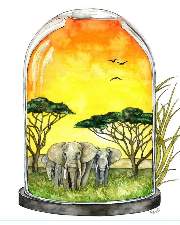 TheColorfulCatStudio - Акварельная живопись by Rachel Byler