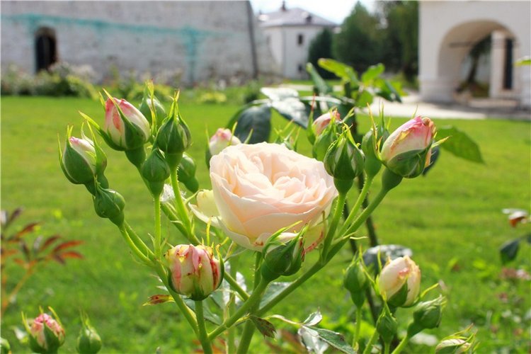 Сентябрьское путешествие в Старицу. Старицкий Свято-Успенский Монастырь