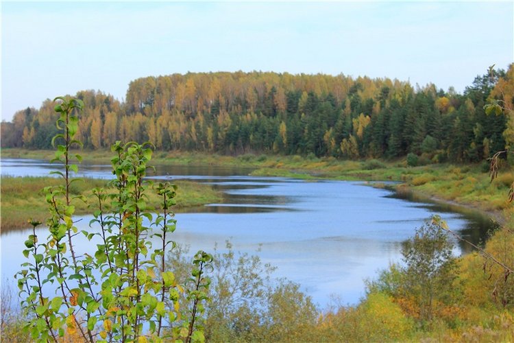 Путешествие Имани на Волгу, продолжение. Mini Imani от Kaye Wiggs