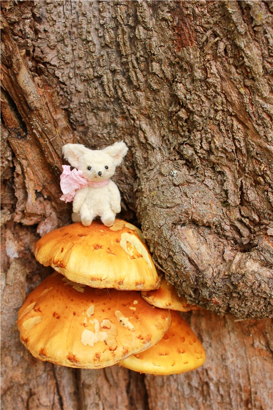 Золотая Осень в Берново с Имани. Mini Imani от Kaye Wiggs