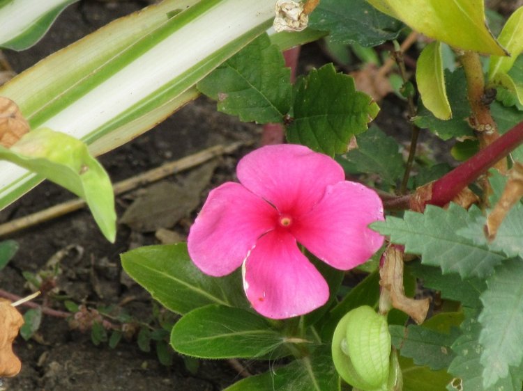 Осенняя пора в Ростове-на-Дону