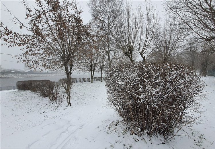 Непогода нынче в моде — Куклы Meadow dolls (Медовушки): BJD (БЖД)