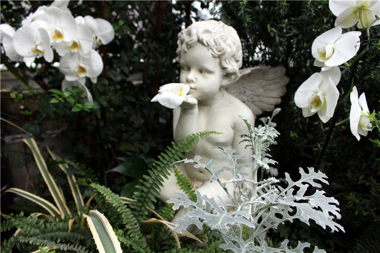 Тверской Ботанический Сад, продолжение | Бэйбики Тверской Ботанический Сад, продолжение (фото 4)