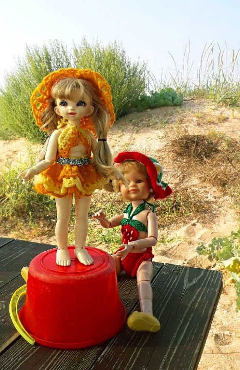 Конец... Лету — Игровые куклы разных производителей (Разное): редкие бренды (фото 8)