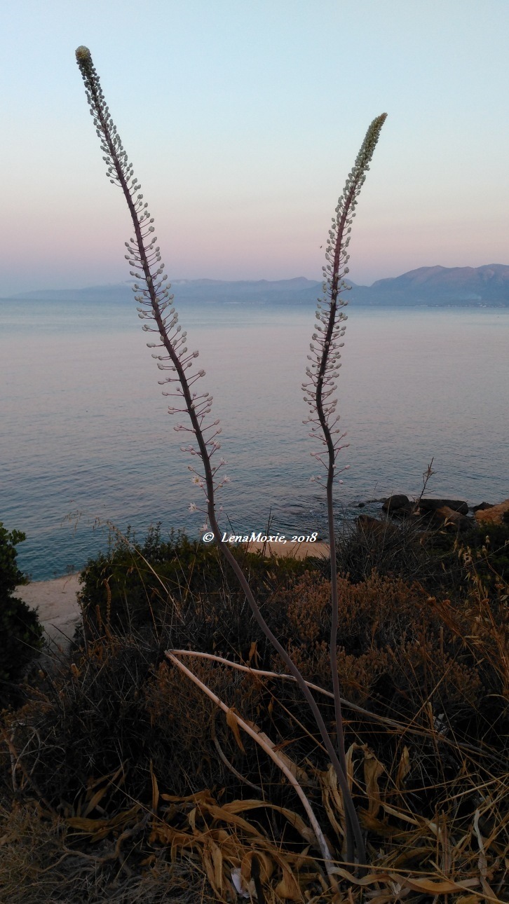 Kidz' тур. Нико на Крите. Аниссарас