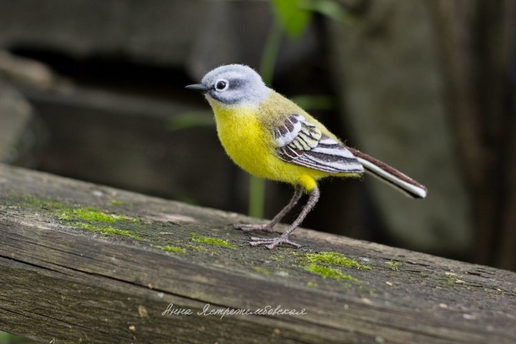 Жёлтая трясогузка — Валяные игрушки из шерсти: сухое валяние