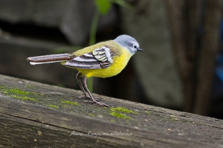 Жёлтая трясогузка — Валяные игрушки из шерсти: сухое валяние