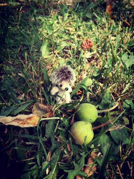 Большая дружба маленьких друзей