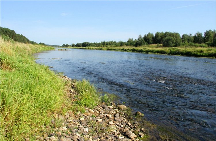 Инопланетянка Нийя. Custom Blythe Doll UFO Go Go Takara