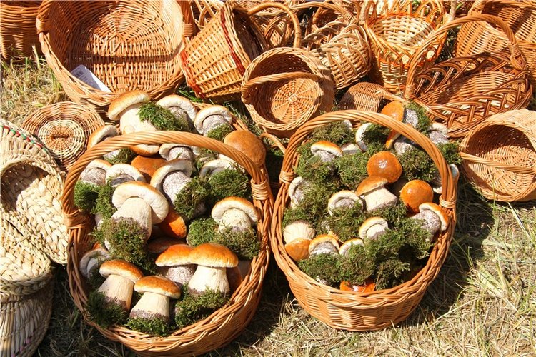 Я ехал к Вам! Пушкинский праздник в Берново, 2018 год