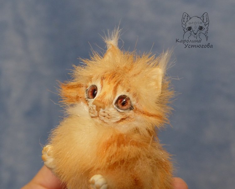 Мейн-ку́н, миниатюра. Рыженький