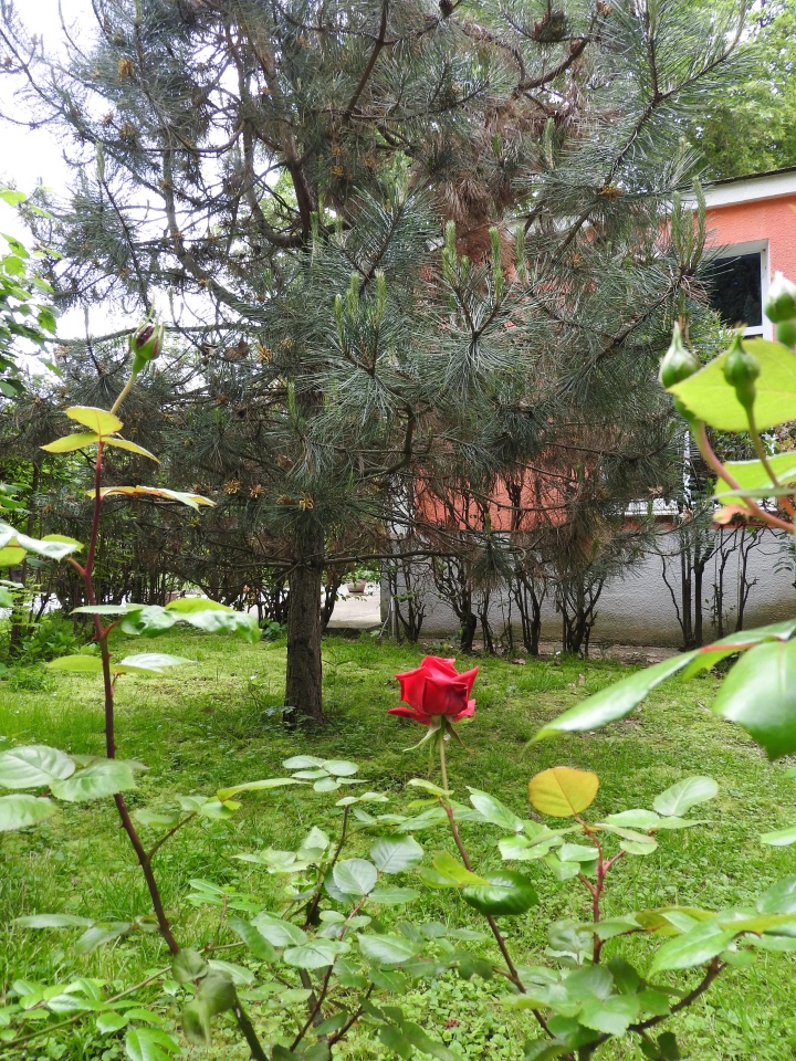 Сочи-Адлер: Южное Взморье - Мои любимые куколки на отдыхе