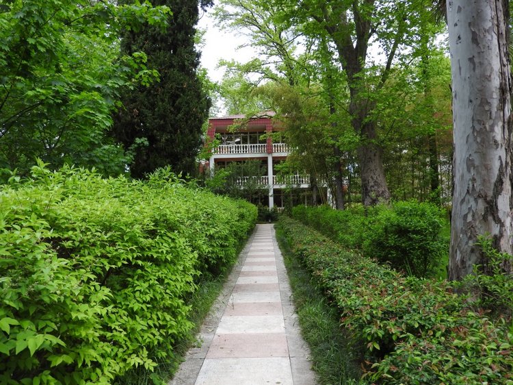 Сочи-Адлер: Южное Взморье - виртуальное путешествие по территории санатория (фото 6)