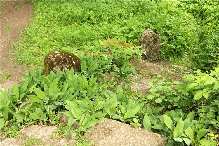 "Троицкие гуляния" в Василёво, 2017 год, продолжение. Архитектурно-этнографический музей под открытым небом "Василёво"