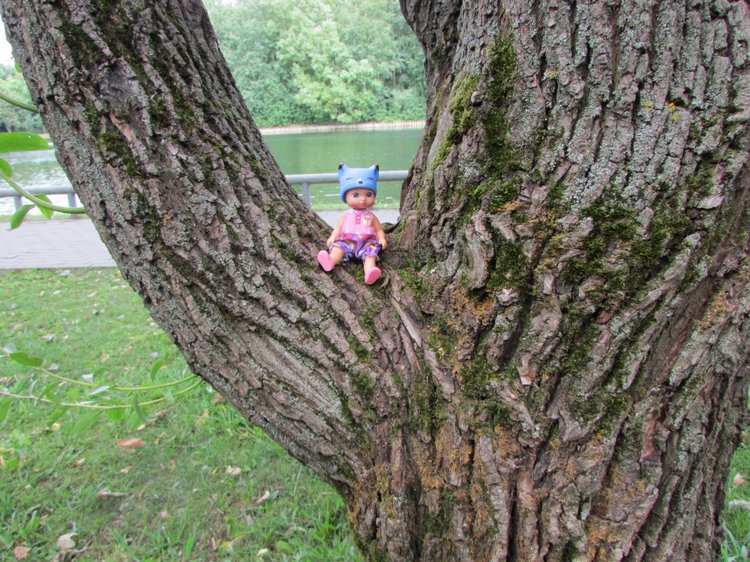 Моя кукольная семья на прогулке в Измайловском Парке