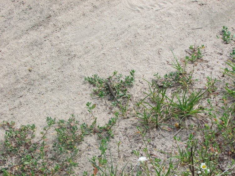 Путешествие в Нижегородскую область - часть 2 - Размещение в деревушке и прогулка по окресностям