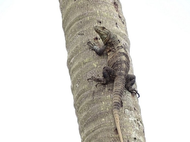 Любителям природы - профессиональные фотографии (выпуск 4)