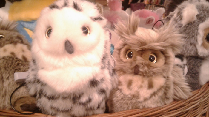 Предновогодний Петербург 2019, прогулка по Невскому проспекту