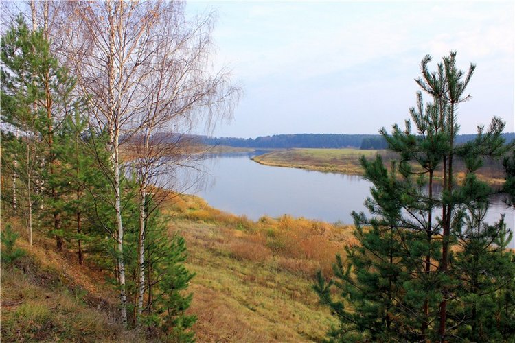 Гришутка — Винтажные куклы ГДР (Немки): Бигги