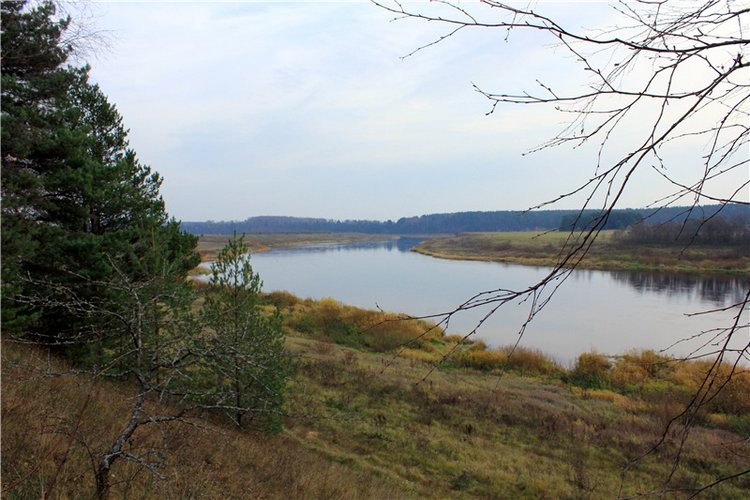 Гришутка — Винтажные куклы ГДР (Немки): Бигги