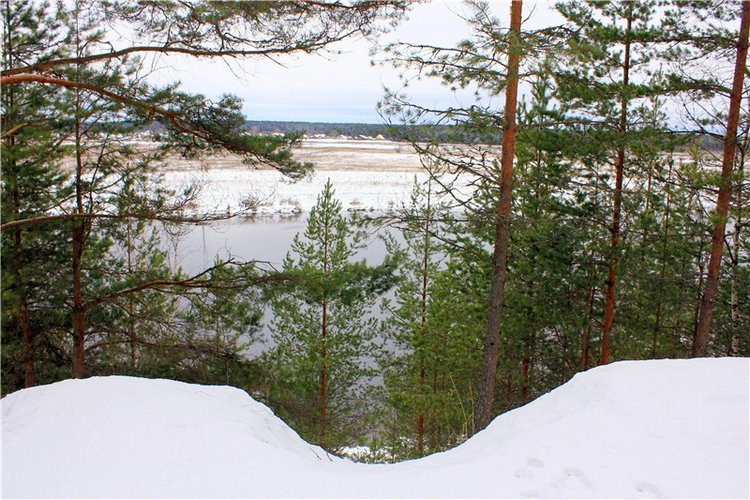 Бейли и Дий. Mini Bailey SK от Meadow dolls