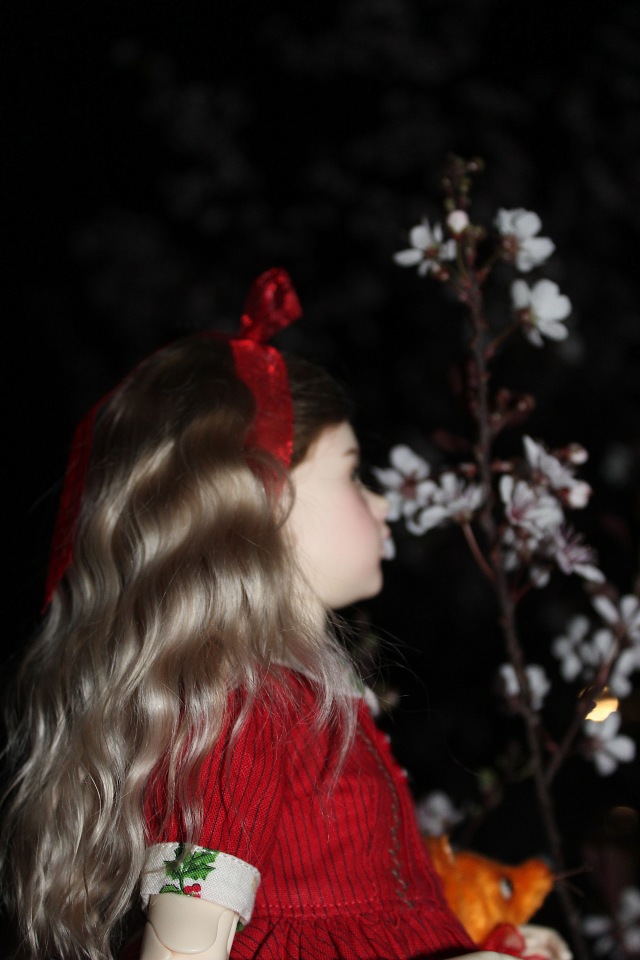 Розочка в вечернем саду — Куклы Dollshe Craft (Доллше): BJD (БЖД) (фото 6)