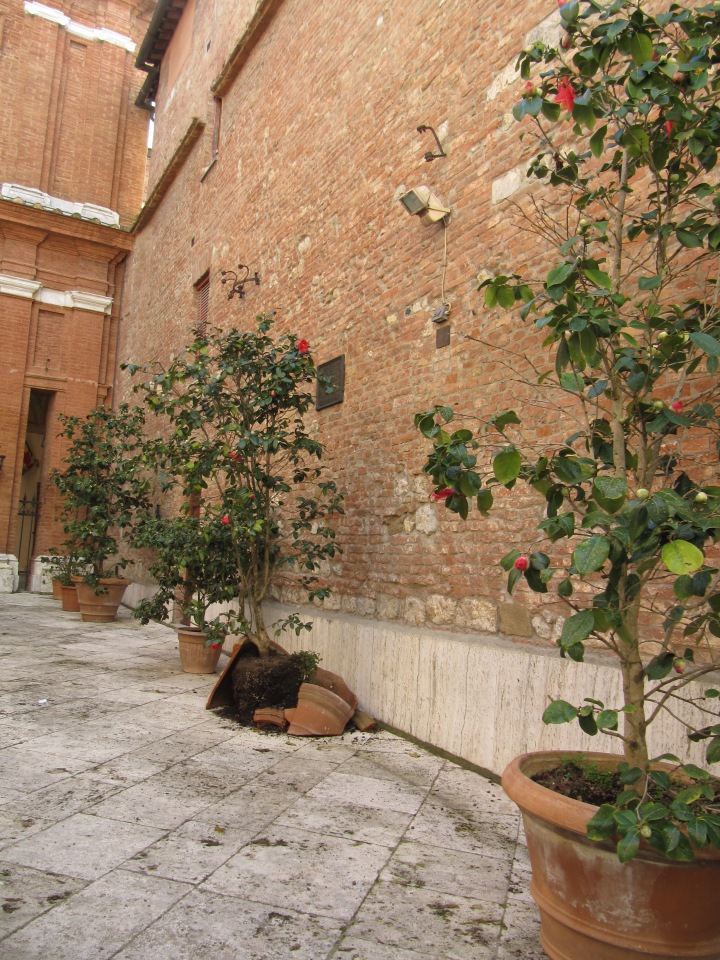 До пандемии. Путешествие по Италии, часть 1 (Кьянти, Сиена)