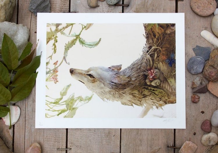 EllenJewettPrintShop - "Сюрреалистическая естественная история" by Ellen Jewett