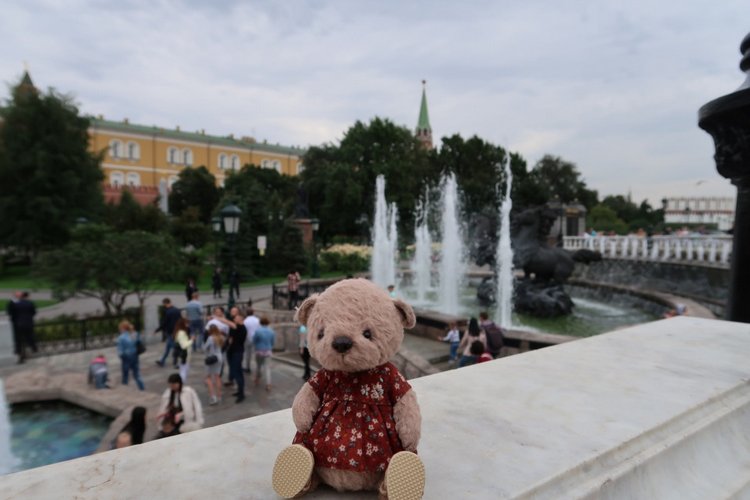 Знакомьтесь, новый вид медведей - медведь сумочный