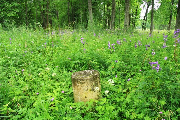 Путешествие Виолы в Усадьбу Знаменское-Раёк