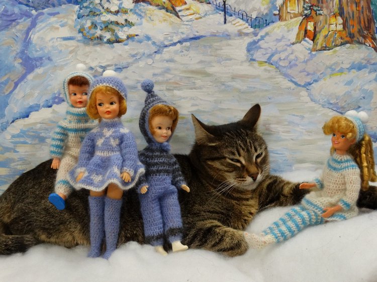 Кото-фото — В мире животных: смешные фото питомцев и зверей (фото 2)