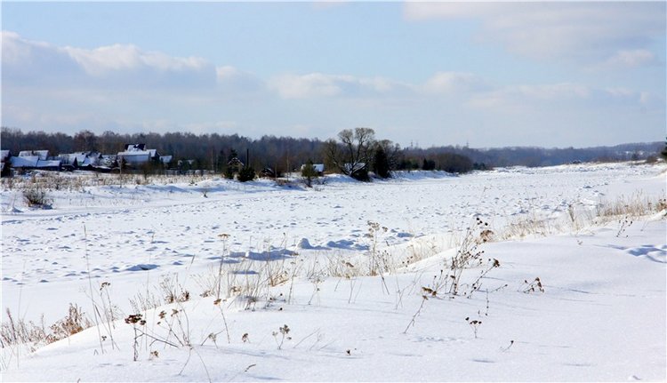 Зимняя прогулка Сони. Уникальная кукла от Сильвии Наттерер (фото 6)