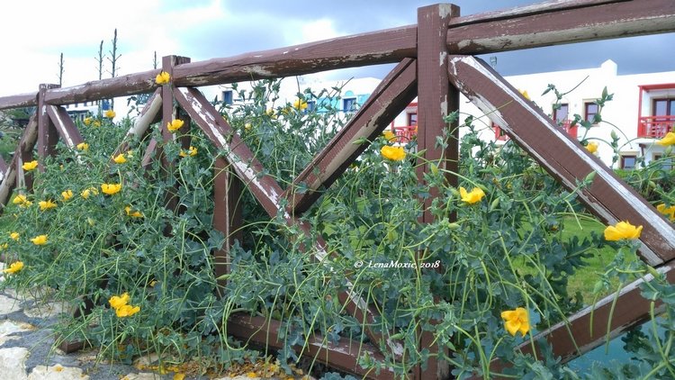 Kidz' тур. Нико на Крите. Аниссарас