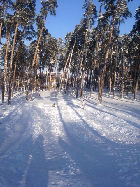Снежная фотосессия с Licca, Takara
