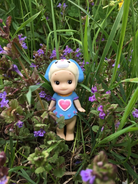 Поездка на дачу с Mui-chan, Migliorati и Sonny angel