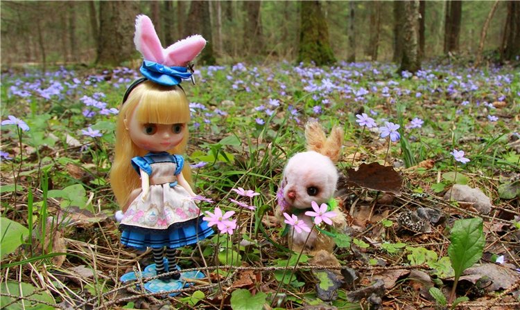 Застенчивая Алиса. Middie Blythe Doll Pebble Cakes & Shrinking Alice