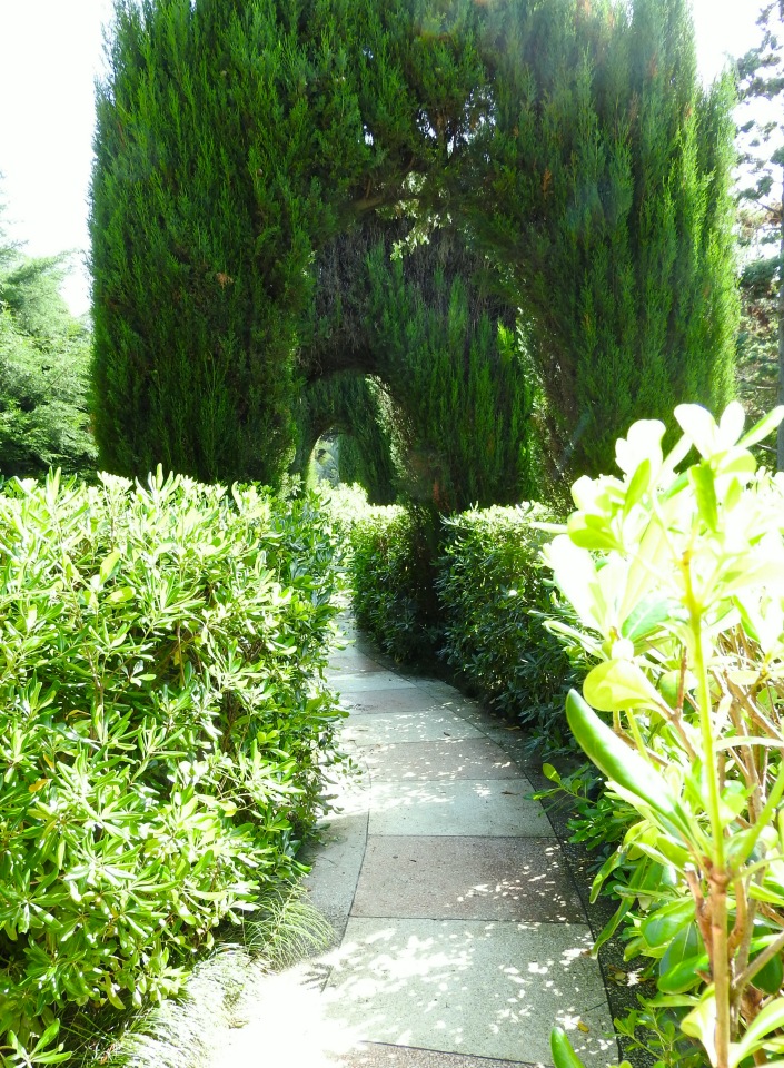 Краснодарский Край, Сочи-Адлер, Санаторий «Южное Взморье»