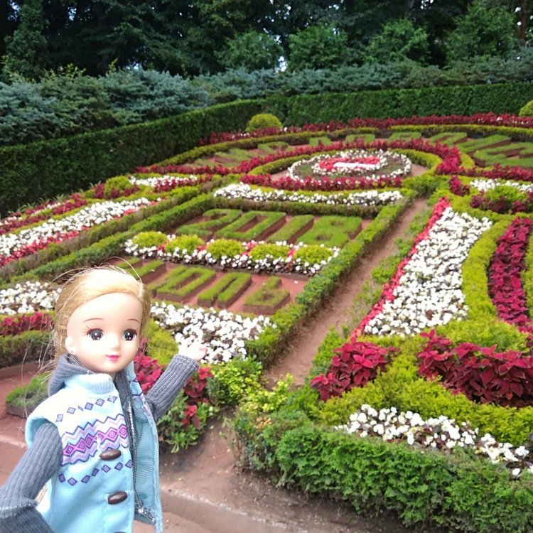 Возвращение Хелены в Кисловодск: опять за своё